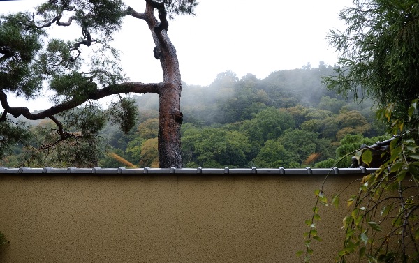 翠嵐の「京月琴」の専用庭から見た嵐山